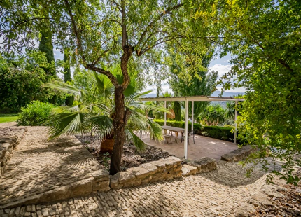 MAGNÍFICA FINCA CON MÚLTIPLES OPORTUNIDADES EN EL NORTE DE RONDA