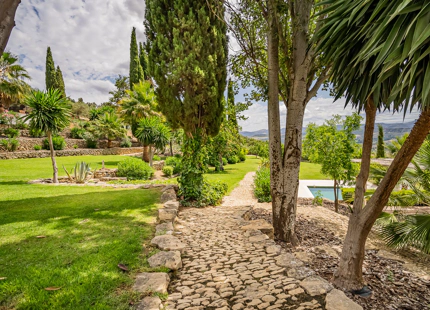 MAGNÍFICA FINCA CON MÚLTIPLES OPORTUNIDADES EN EL NORTE DE RONDA