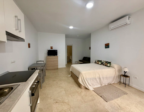 Inversión en venta en San Pedro de Alcantara