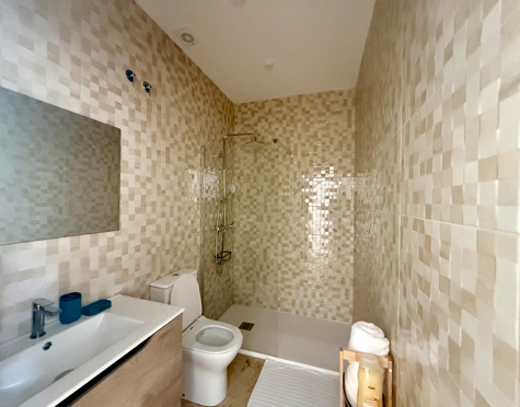 Inversión en venta en San Pedro de Alcantara
