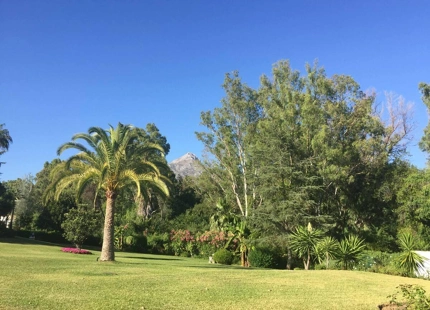 ELEGANTE APARTAMENTO ORIENTADO AL SUR CON VISTAS AL GOLF EN NUEVA ANDALUCIA