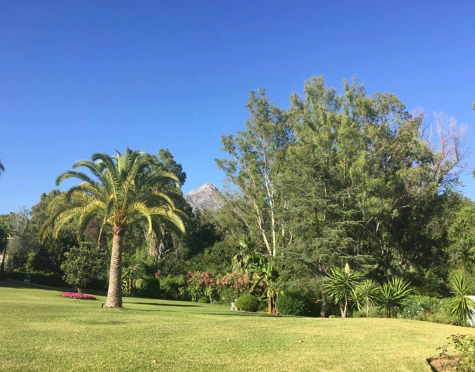 ELEGANT SOUTH FACING APARTMENT WITH GOLF VIEWS IN NUEVA ANDALUCIA