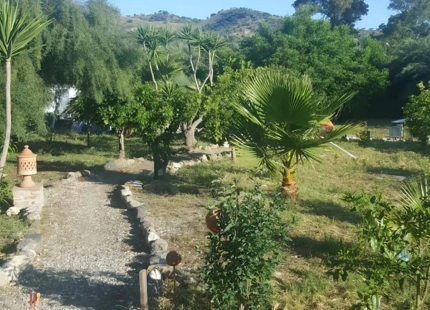 ENCANTADORA FINCA ANDALUZA CON HUERTO PRIVADO Y CASA DE INVITADOS