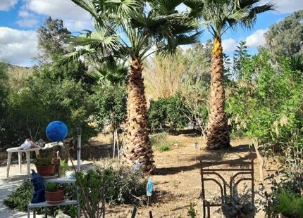 ENCANTADORA FINCA ANDALUZA CON HUERTO PRIVADO Y CASA DE INVITADOS