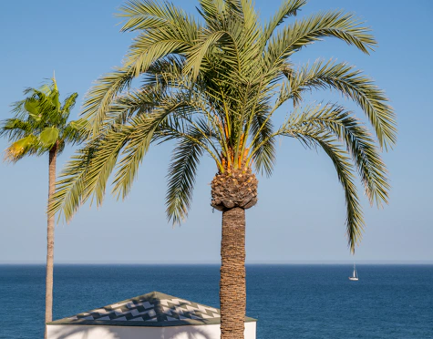 Penthouse for sale in New Golden Mile, Estepona East