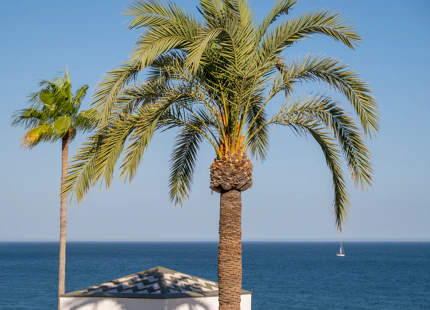 ÁTICO DE LUJO CON TERRAZA PRIVADA EN LA AZOTEA EN LA NUEVA MILLA DE ORO DE ESTEPONA