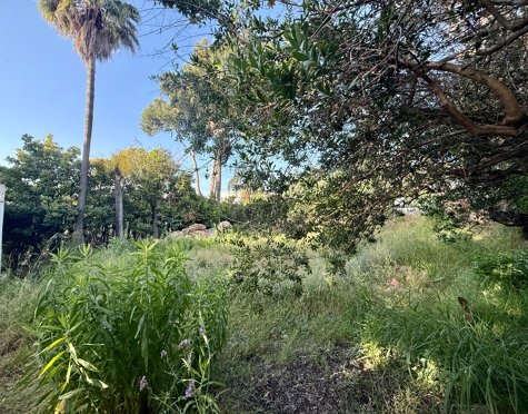 # Urbanizable plot in Nueva Andalucía, Marbella