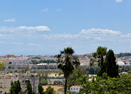 # Villa Independiente en Nueva Andalucía - Oportunidad Única