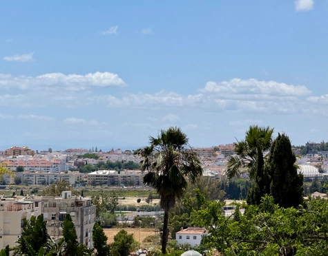 Villa for sale in Nueva Andalucia, Marbella