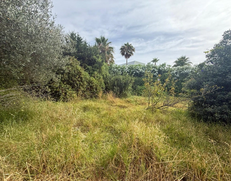 PRIME PLOT IN EL PARAÍSO, ESTEPONA EAST, WITH EXISTING RESIDENCE AND EXCELLENT DEVELOPMENT POTENTIAL NEAR GOLF