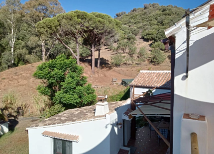 CHARMING ANDALUSIAN FINCA FOR SALE IN CASARES