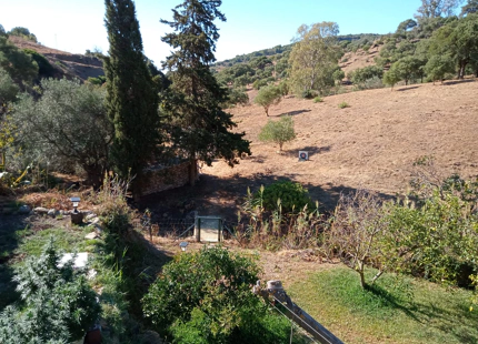 CHARMING ANDALUSIAN FINCA FOR SALE IN CASARES