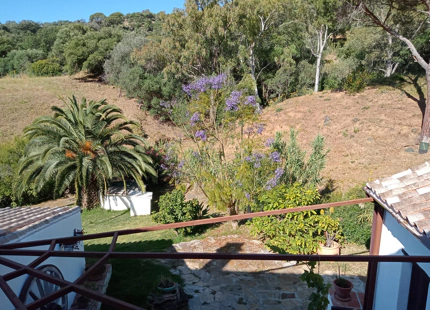CHARMING ANDALUSIAN FINCA FOR SALE IN CASARES