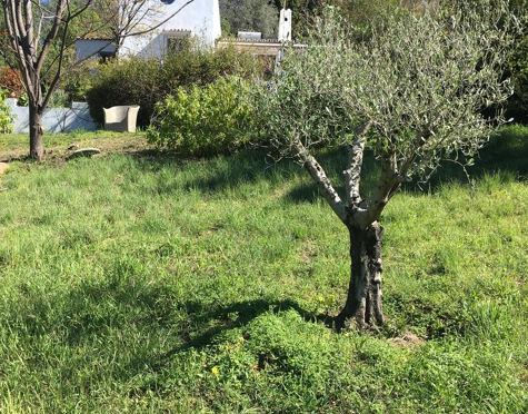 Villa en venta en El Padron, Estepona East