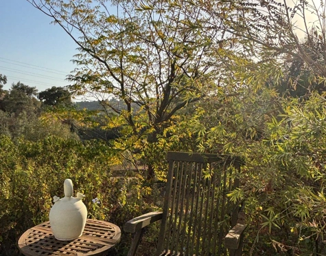 Villa en venta en El Padron, Estepona East