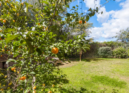 ELEGANT FULLY RENOVATED GARDEN RESIDENCE IN A SECURE BENAHAVÍS COMMUNITY