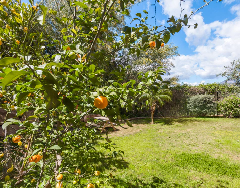 Apartment for sale in Benahavis