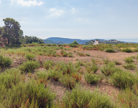SOUTH-FACING 3.127 M² PLOT WITH PANORAMIC VIEWS IN BENAHAVÍS