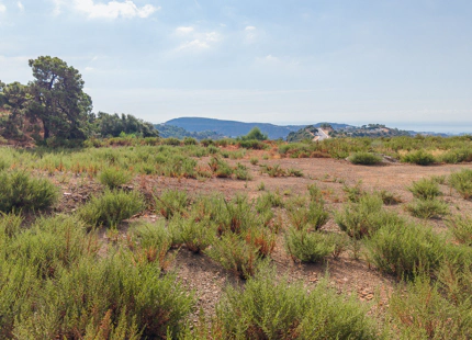 SOUTH-FACING 3.127 M² PLOT WITH PANORAMIC VIEWS IN BENAHAVÍS