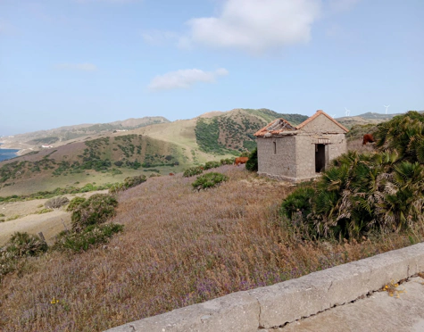 EXCEPTIONAL 117,543 M² OCEANFRONT ESTATE WITH PANORAMIC VIEWS