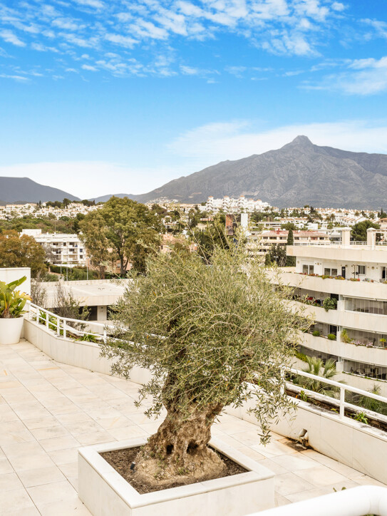 Embrujo Banús Penthouse