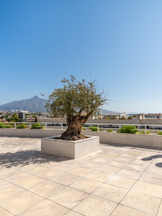 Embrujo Banús Penthouse