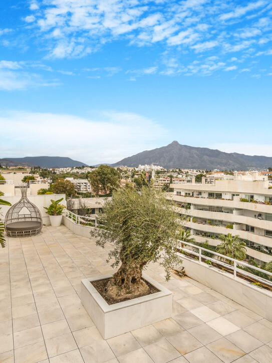 Embrujo Banús Penthouse