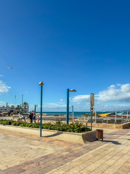 Paseo Marítimo Office