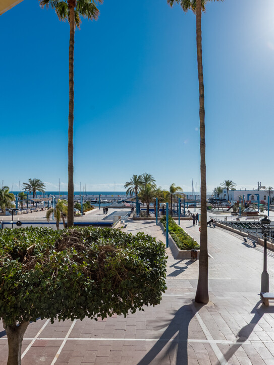 Paseo Marítimo Office