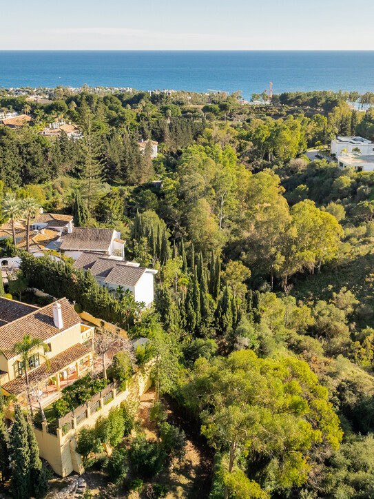 Villa Pasodoble