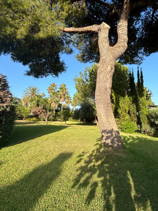 Villa La Merced