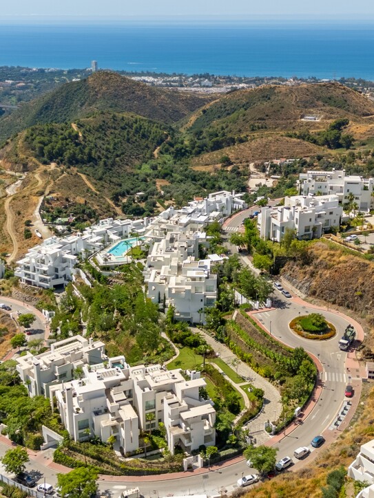 Palo Alto Ground Floor