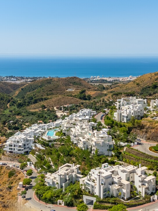 Palo Alto Ground Floor