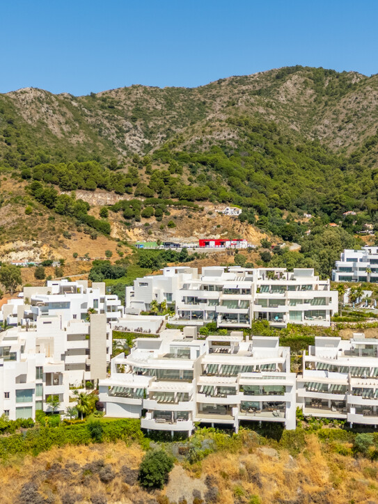 Palo Alto Ground Floor
