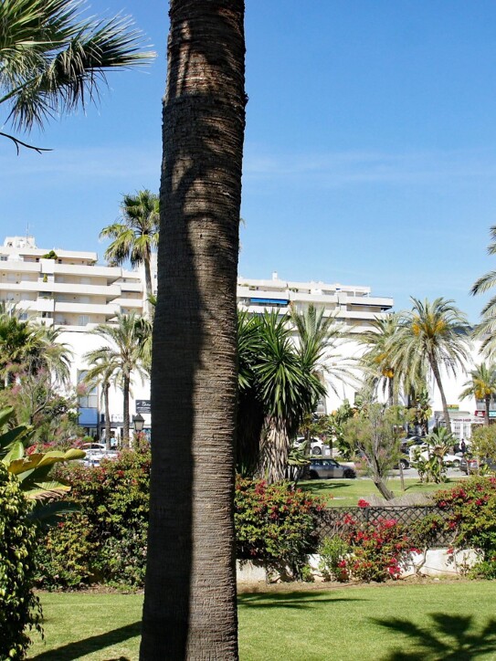 Playa Rocío Ground Floor