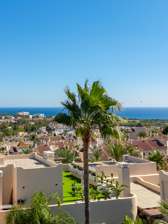 Paraíso Hills Duplex Penthouse