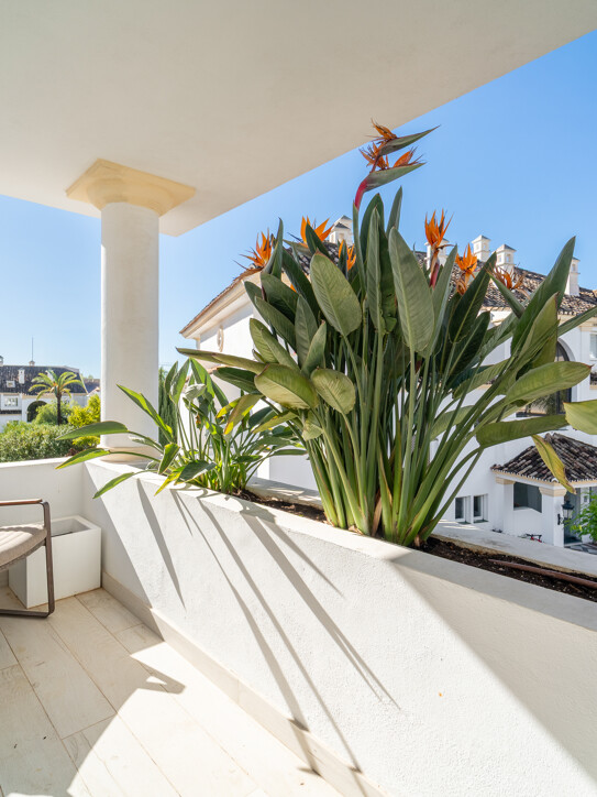 Monte Paraíso 8 Duplex Penthouse