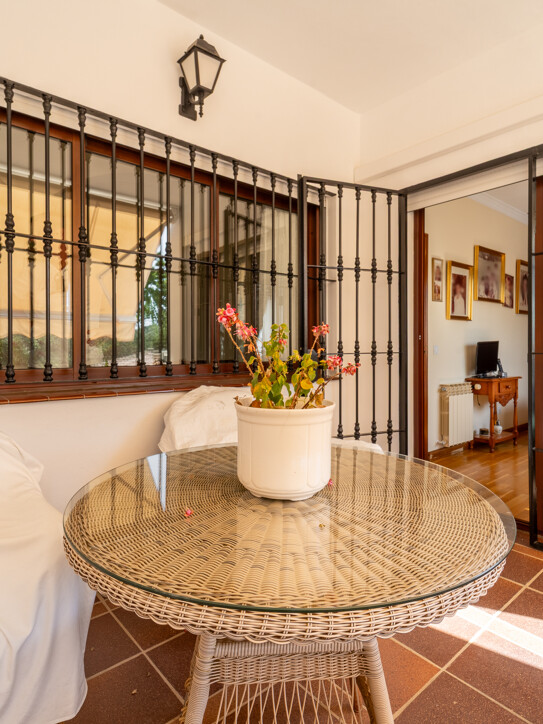 Villa in Nueva Andalucía
