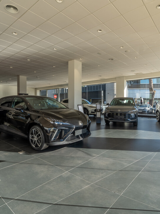 Commercial Space Puerta de Banús