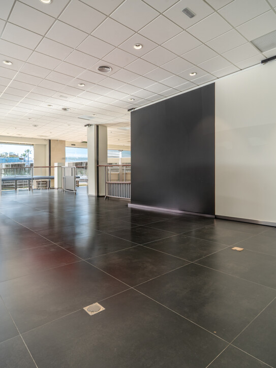 Commercial Space Puerta de Banús