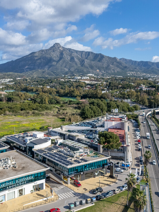 Commercial Space Puerta de Banús