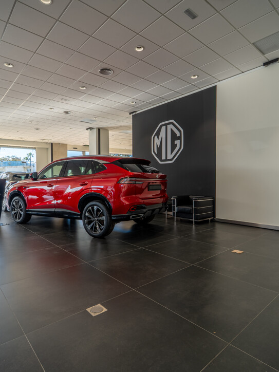 Commercial Space Puerta de Banús