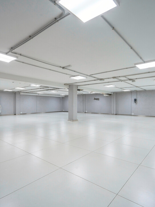 Commercial Space Puerta de Banús