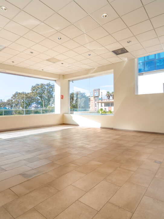 Commercial Space Puerta de Banús