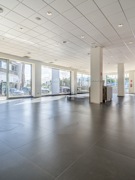 Commercial Space Puerta de Banús