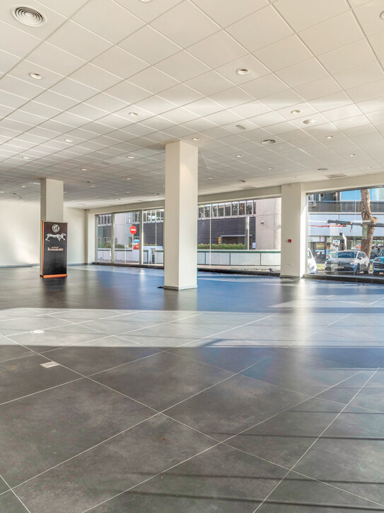 Commercial Space Puerta de Banús