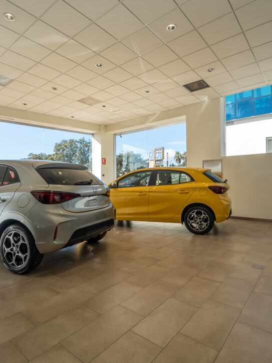 Commercial Space Puerta de Banús