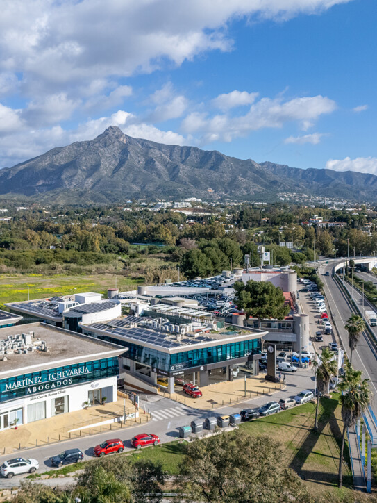 Commercial Space Puerta de Banús