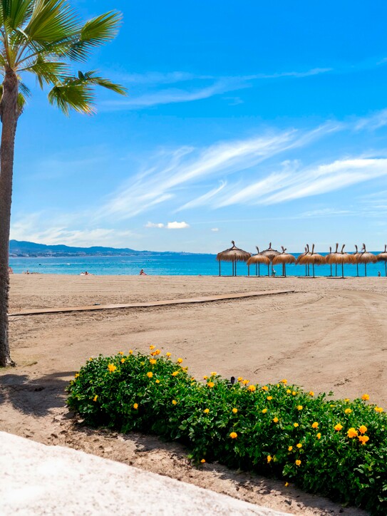 Apartment in Playa Rocío, Puerto Banús