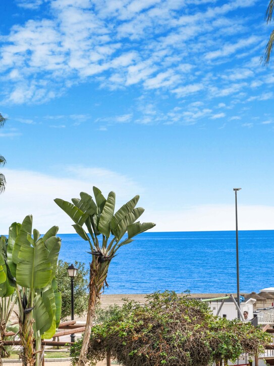 Apartment in Playa Rocío, Puerto Banús